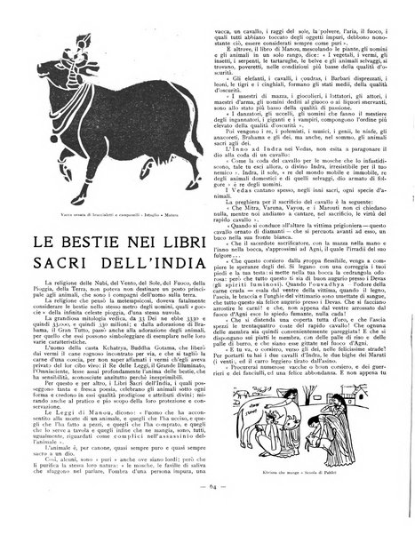 La ruota rivista mensile illustrata per la gioventù