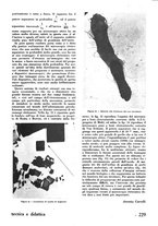 giornale/RML0020929/1940-1941/unico/00000271