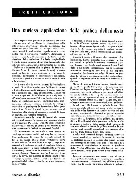 Tecnica e didattica supplemento mensile della rivista Istruzione tecnica