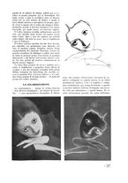 giornale/RML0021006/1934/unico/00000041