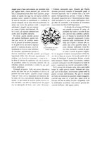 giornale/RML0021006/1934/unico/00000233