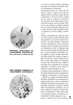 giornale/RML0021006/1941-1942/unico/00000247