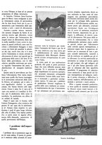 giornale/RML0021022/1937/unico/00000135