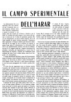 giornale/RML0021022/1937/unico/00000335