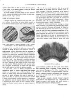 giornale/RML0021022/1937/unico/00000378