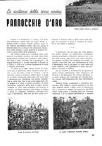 giornale/RML0021022/1940/unico/00000367