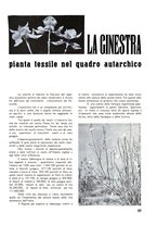 giornale/RML0021022/1941/unico/00000033