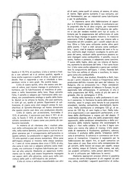 L'industria nazionale rivista mensile dell'autarchia