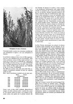 giornale/RML0021022/1941/unico/00000142
