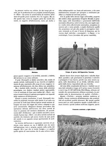 L'industria nazionale rivista mensile dell'autarchia