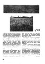 giornale/RML0021022/1941/unico/00000184