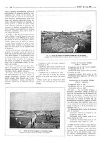 giornale/RML0021024/1919/unico/00000176