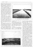 giornale/RML0021024/1919/unico/00000179