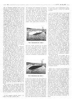giornale/RML0021024/1919/unico/00000268