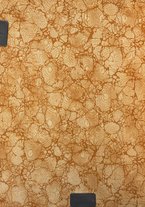 giornale/RML0021024/1921/unico/00000002