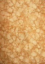 giornale/RML0021024/1921/unico/00000003