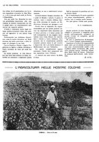 giornale/RML0021124/1928/unico/00000213