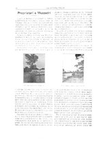 giornale/RML0021135/1906/v.2/00000038