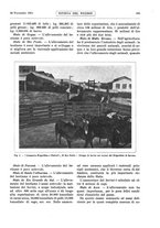 giornale/RML0021303/1915/unico/00000379