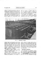 giornale/RML0021303/1917/unico/00000111