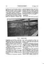 giornale/RML0021303/1917/unico/00000138