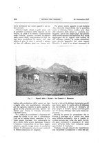 giornale/RML0021303/1917/unico/00000228