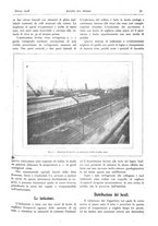 giornale/RML0021303/1918/unico/00000089