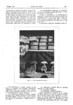 giornale/RML0021303/1918/unico/00000173