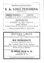 giornale/RML0021303/1919/unico/00000343