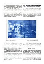 giornale/RML0021303/1919/unico/00000370