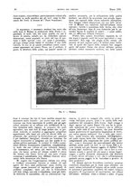giornale/RML0021303/1920/unico/00000102