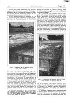 giornale/RML0021303/1920/unico/00000186