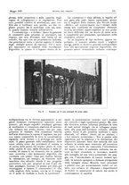 giornale/RML0021303/1920/unico/00000187