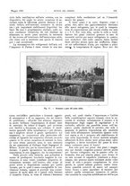 giornale/RML0021303/1920/unico/00000191