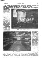 giornale/RML0021303/1921/unico/00000221