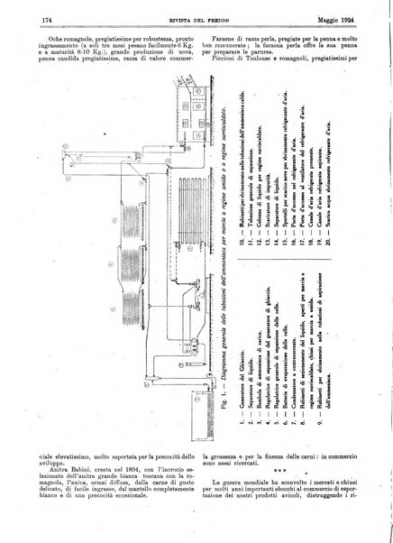 Rivista del freddo periodico mensile illustrato tecnico, scientifico, economico, commerciale