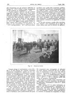 giornale/RML0021303/1924/unico/00000320