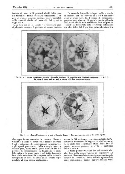 Rivista del freddo periodico mensile illustrato tecnico, scientifico, economico, commerciale