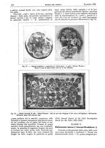 Rivista del freddo periodico mensile illustrato tecnico, scientifico, economico, commerciale