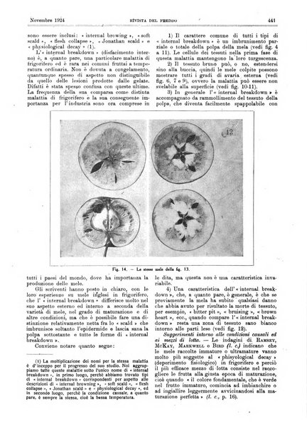 Rivista del freddo periodico mensile illustrato tecnico, scientifico, economico, commerciale