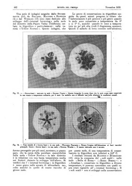 Rivista del freddo periodico mensile illustrato tecnico, scientifico, economico, commerciale