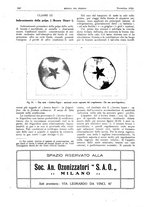 giornale/RML0021303/1924/unico/00000492