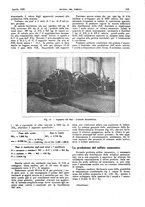 giornale/RML0021303/1925/unico/00000145