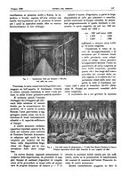 giornale/RML0021303/1925/unico/00000227