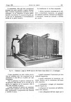 giornale/RML0021303/1925/unico/00000233