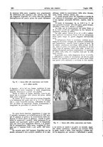 giornale/RML0021303/1925/unico/00000264