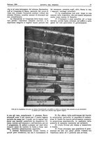 giornale/RML0021303/1929/unico/00000081