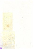giornale/RML0021303/1929/unico/00000608