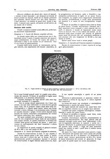 Rivista del freddo periodico mensile illustrato tecnico, scientifico, economico, commerciale