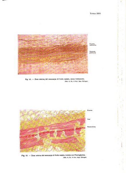 Rivista del freddo periodico mensile illustrato tecnico, scientifico, economico, commerciale